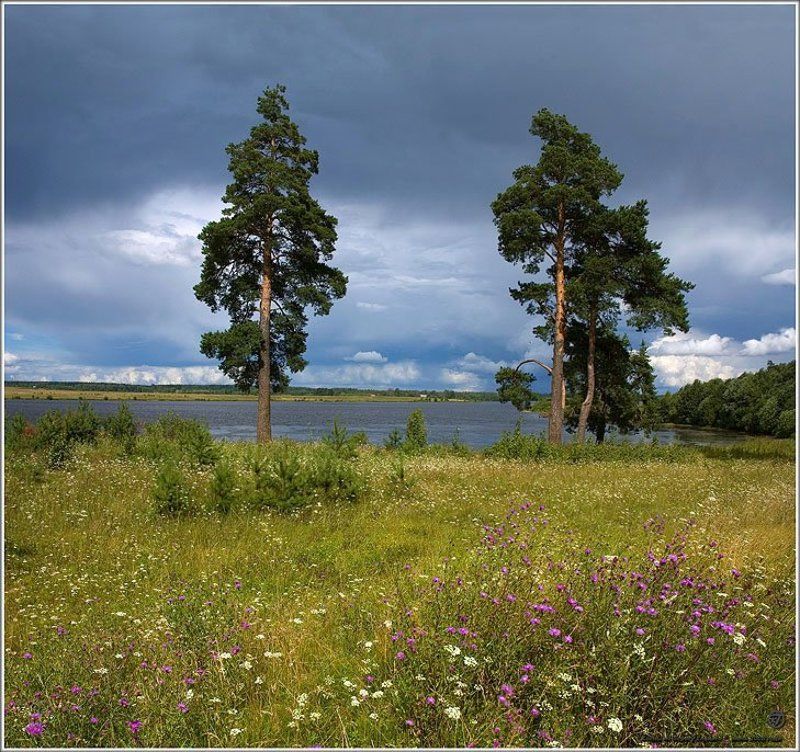 *** фото превью