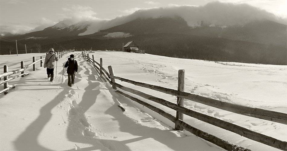 карпаты, природа, пейзаж, горы, панорама, Piligrim