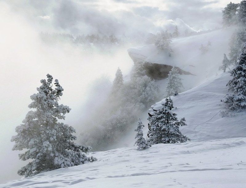 *** фото превью