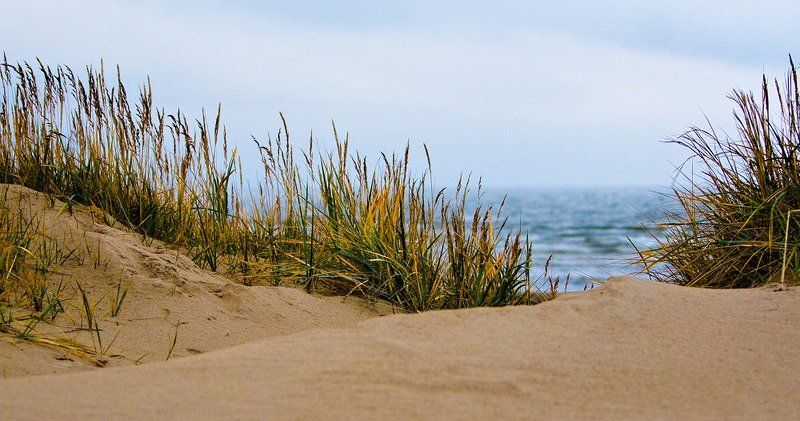 ИМХО ассоциации к фильму \