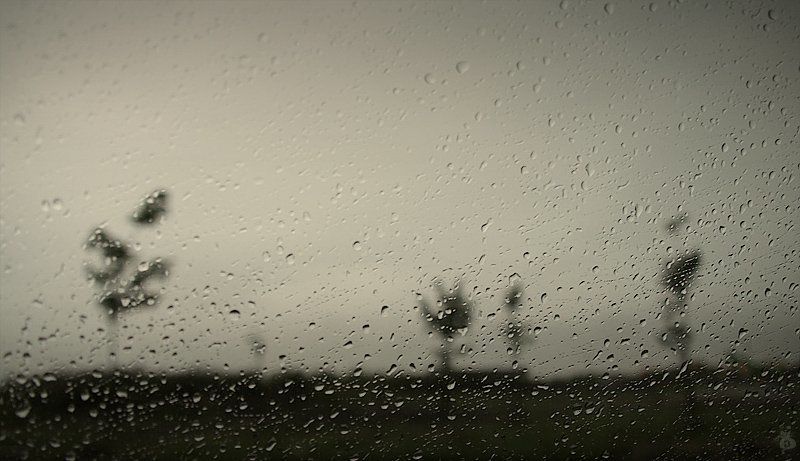 вода, капли, дождь, настроение, серебро, музыка, деревья ..... фото превью