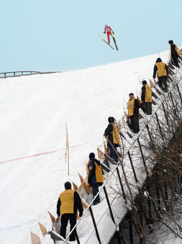 зима, полет Рожденный стоять - летать не может фото превью