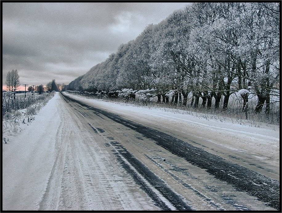 , Лунный Ежик