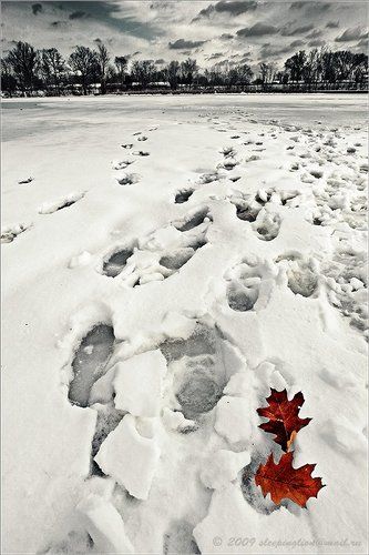Пейзажный натюрморт