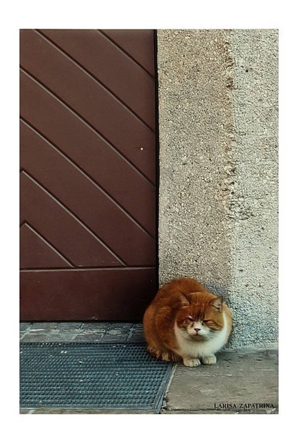 , Лариса Запатрина