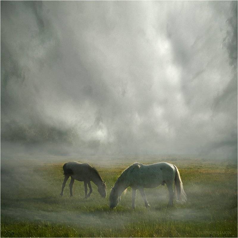 байкал, берег, утро, лошади, Виктор Перякин