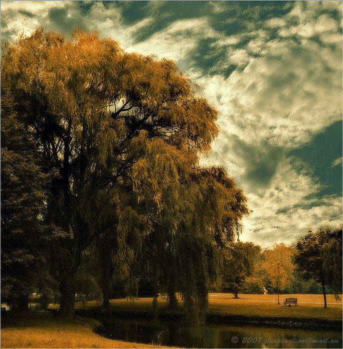 пейзаж, пленка, средний формат, 6х6, yashica-d, pilgrim, medium format,, Pilgrim