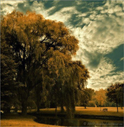 No one lives here anymore....