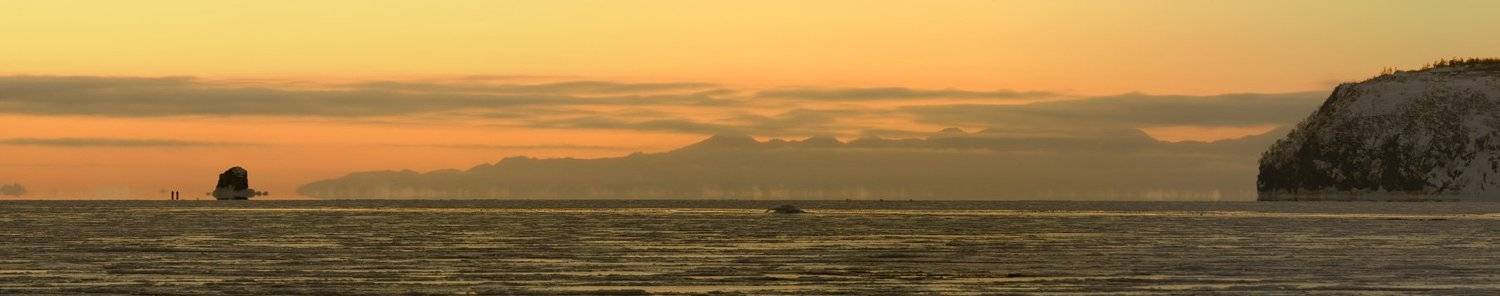 гертнера, панорама, Voldemar