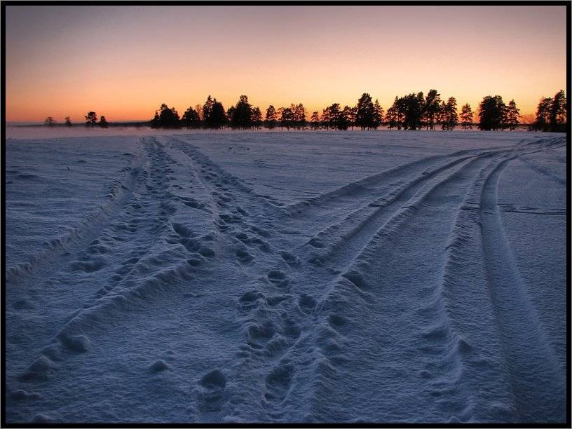 , Лунный Ежик