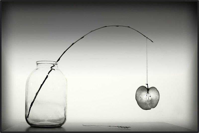 Подвешенный натюрморт #2 фото превью