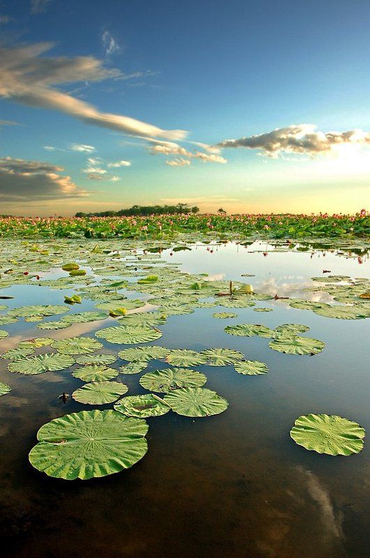 если хочешь остаться фото превью