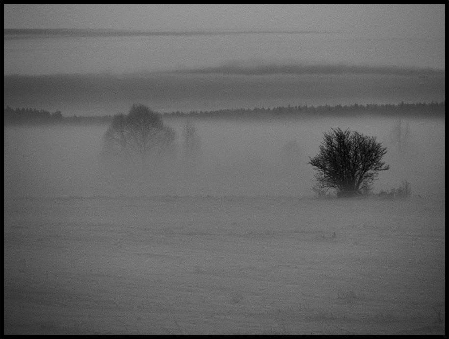 , Лунный Ежик