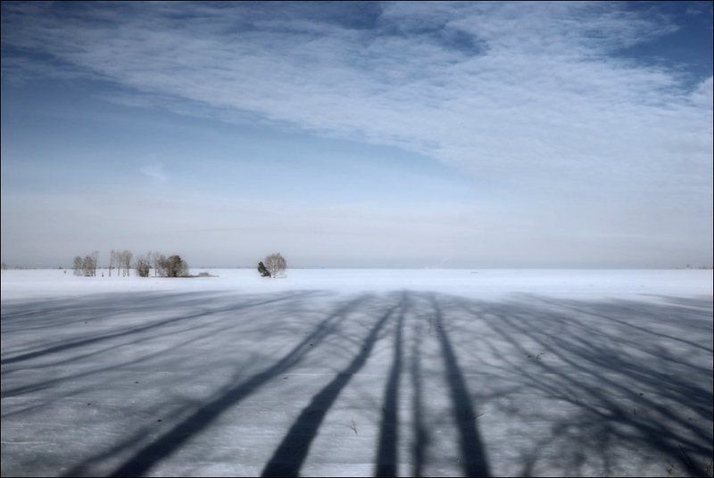 В полях фото превью