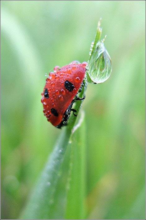 , Любовь Фурс