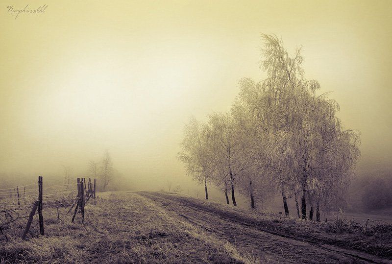 иней, осень, холод, спокойствие, спокойно, расстояние, туман, бесконечность Расстояния нет фото превью