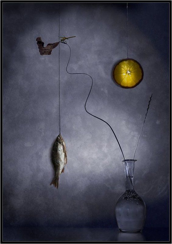 Особенности сожительствования флоры и фауны некоторых водоёмов фото превью