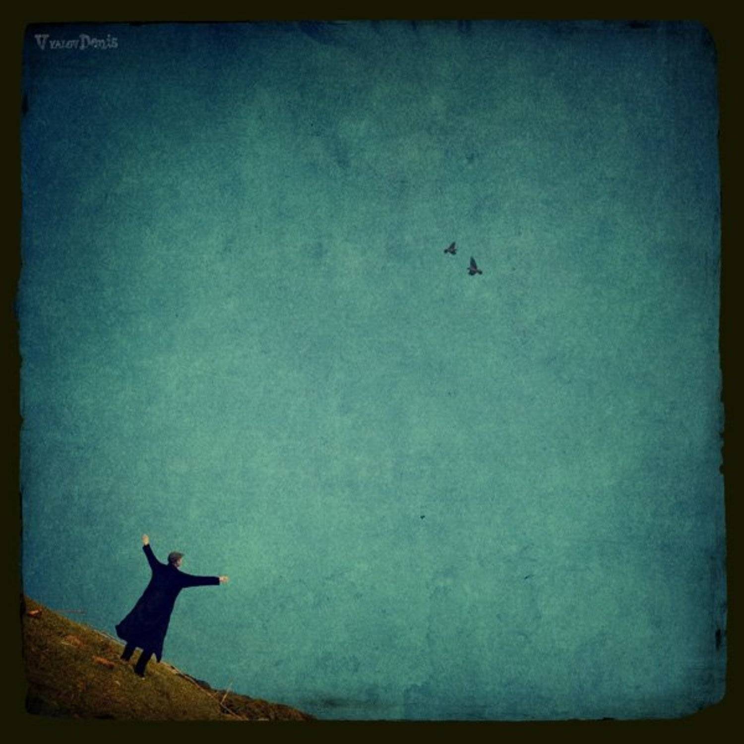 птицы, Денис Вялов