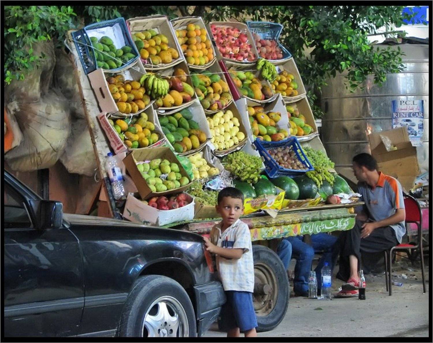 , Лунный Ежик