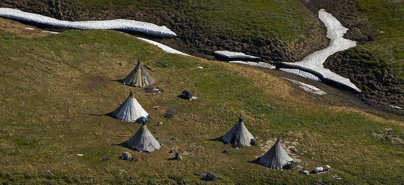 жизнь на краю земли, ненцы,север, стойбище, путешествия стойбище фото превью