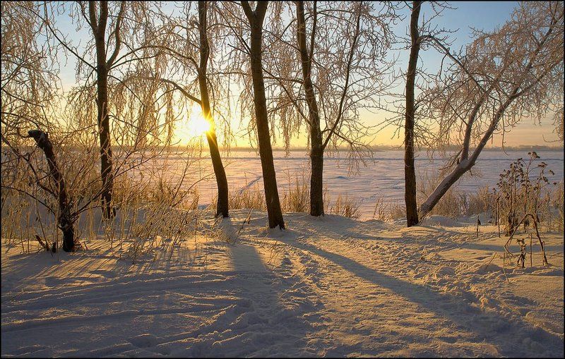 Зима в парке фото превью