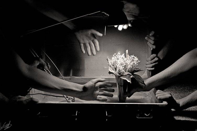 wwwest, Семенов Арсений