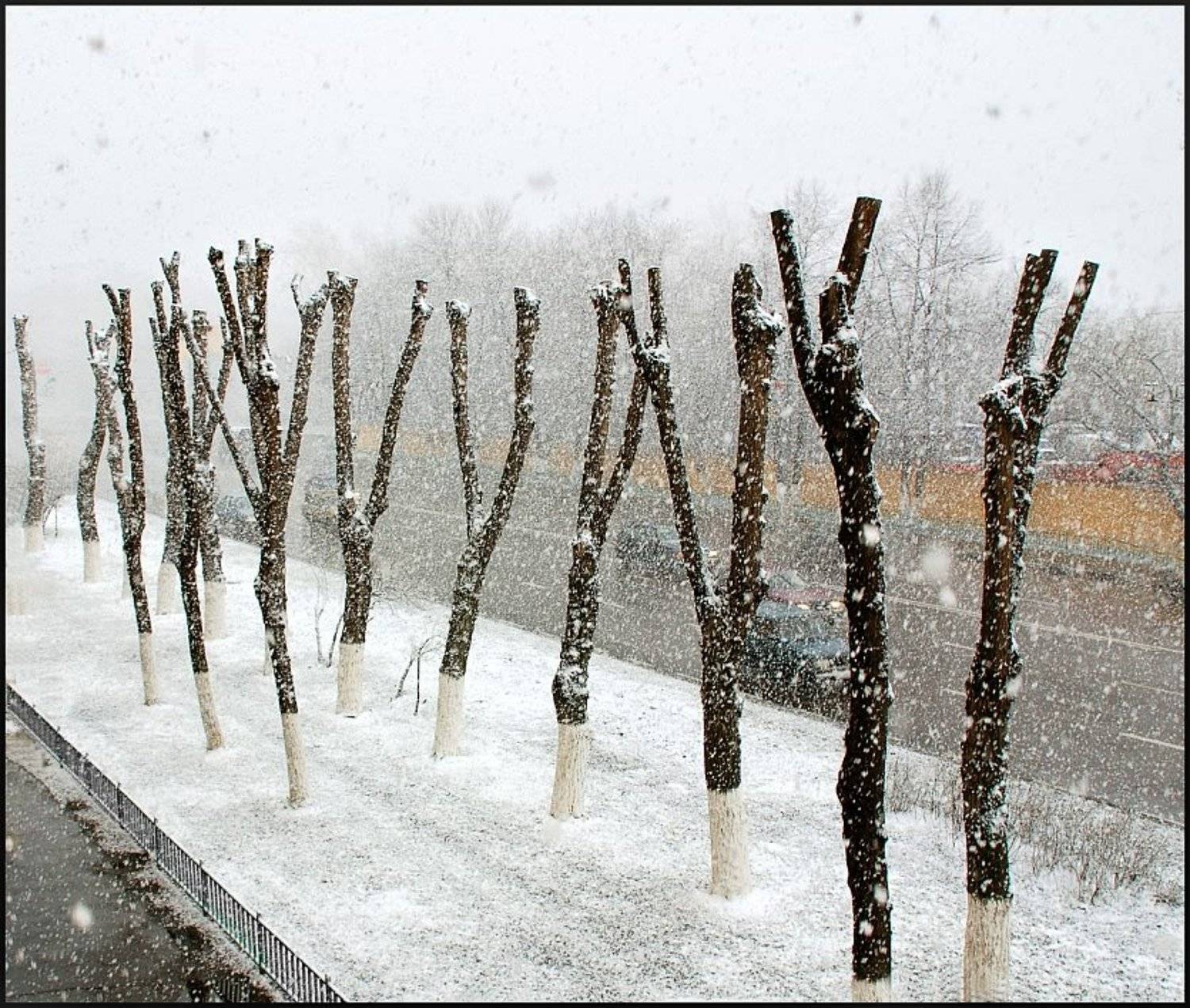 улица, люблинская, апрель, весна, Эдуард Абаджян