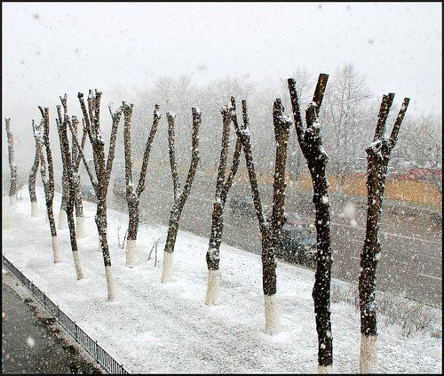 Апрель 2007 года.