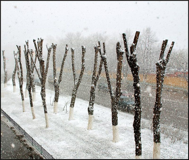 улица, люблинская, апрель, весна Апрель 2007 года. фото превью