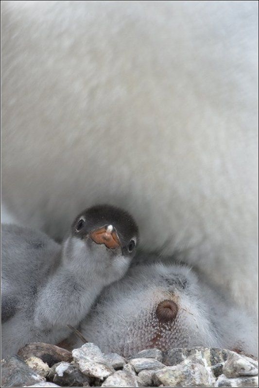 Про жизненную позицию фото превью
