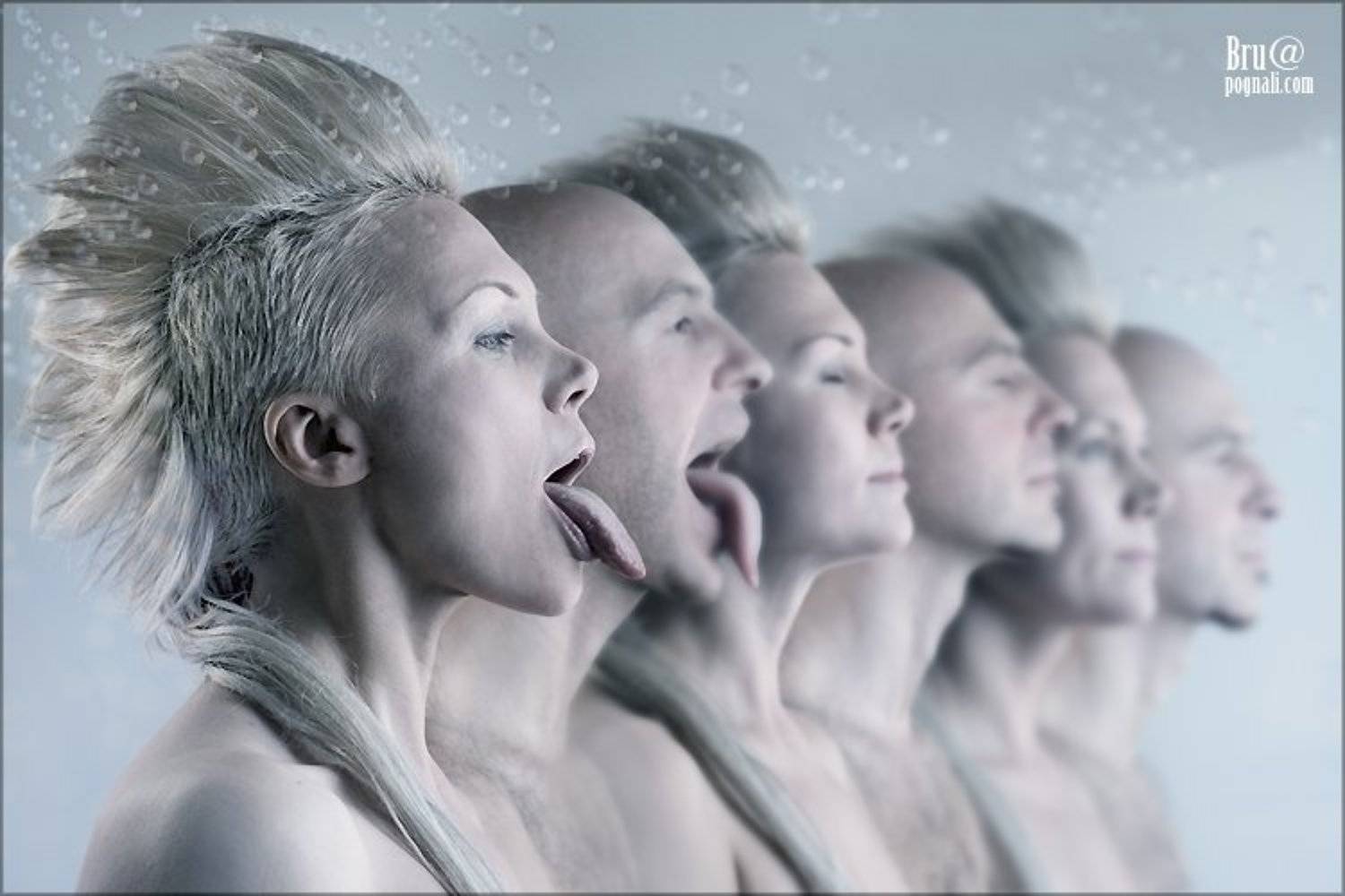 музыканты, христо, оля, Брушша