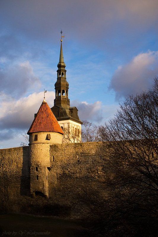 таллинн, томас, город, лукьяненко Рассказы старого Томаса фото превью