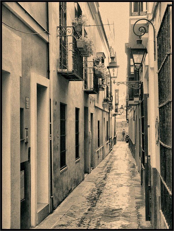 Дороги любви. Улица поцелуев фото превью