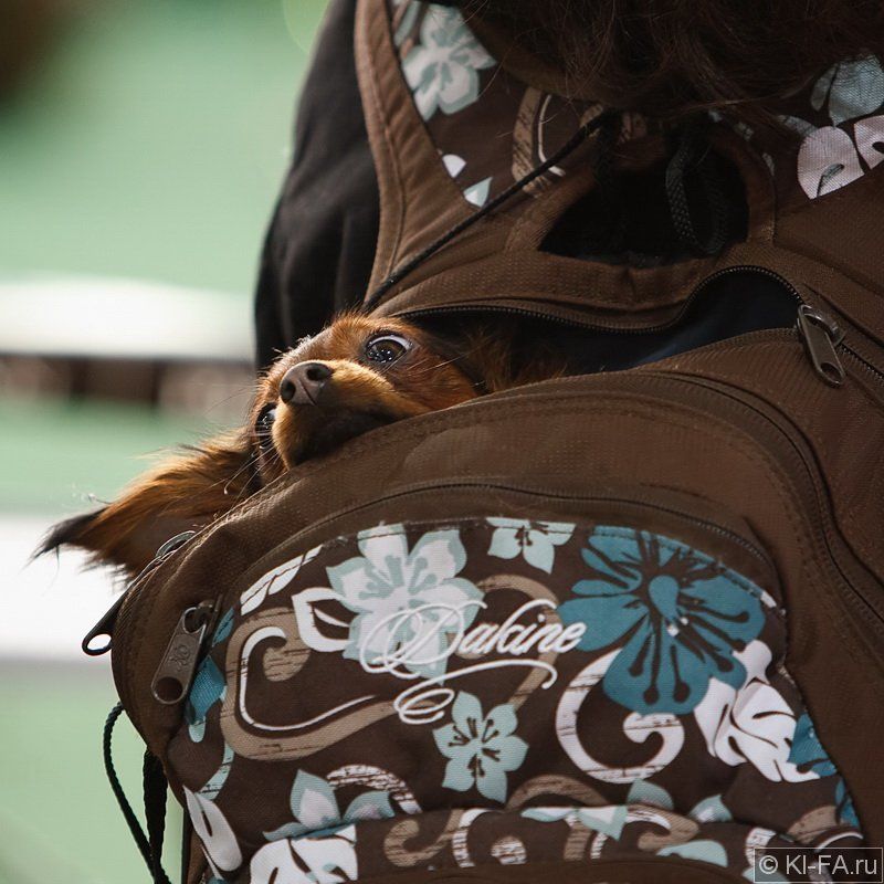 Мне невидно!!! фото превью