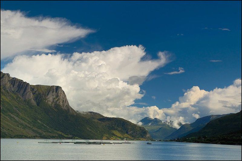 norway, норвегия, рыбалка Норвежская рыбалка фото превью