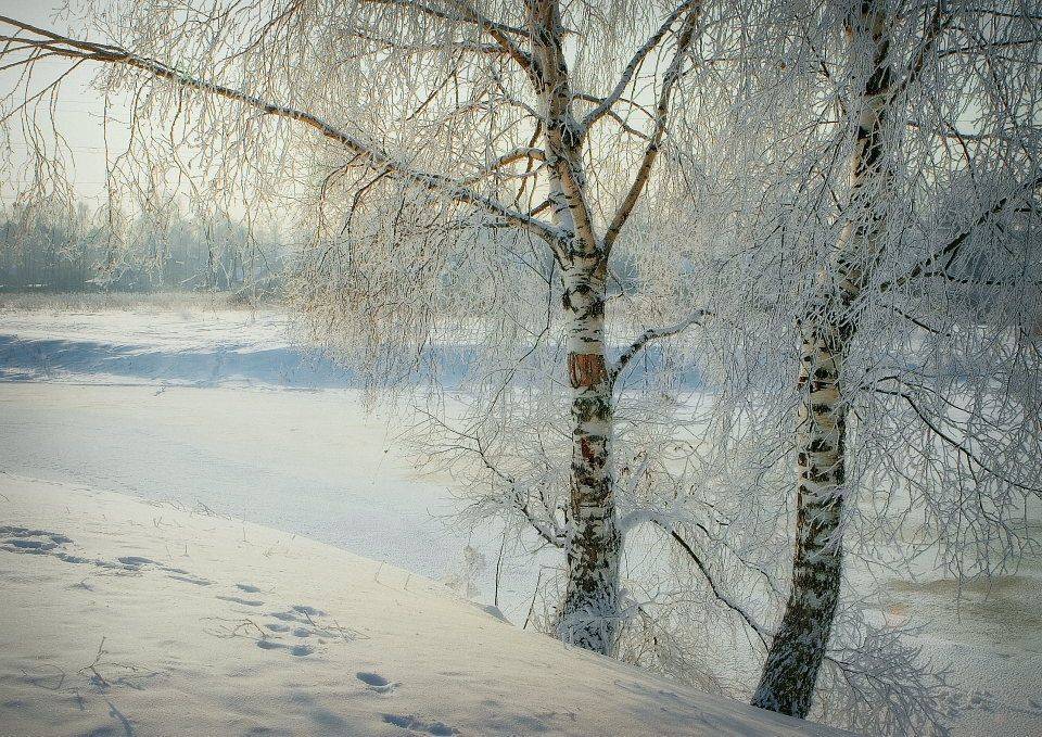 , Владимир Липецких