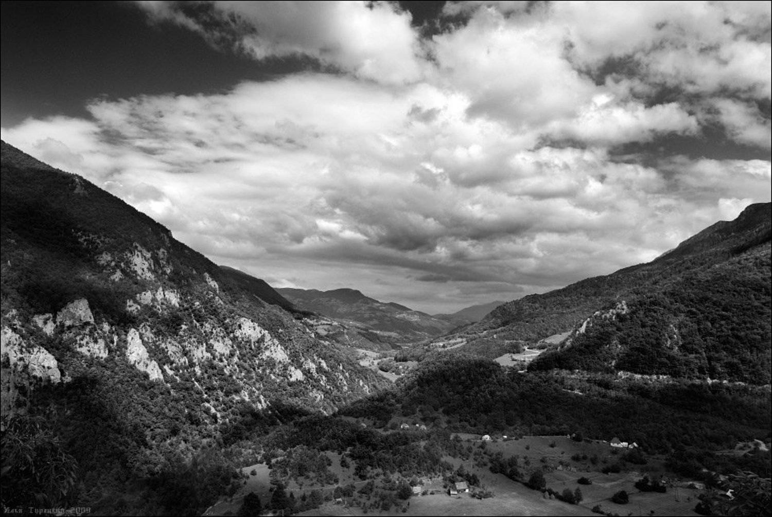 , Илья Турецкий