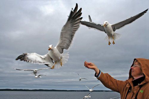 Кто быстрее, тот и прав!