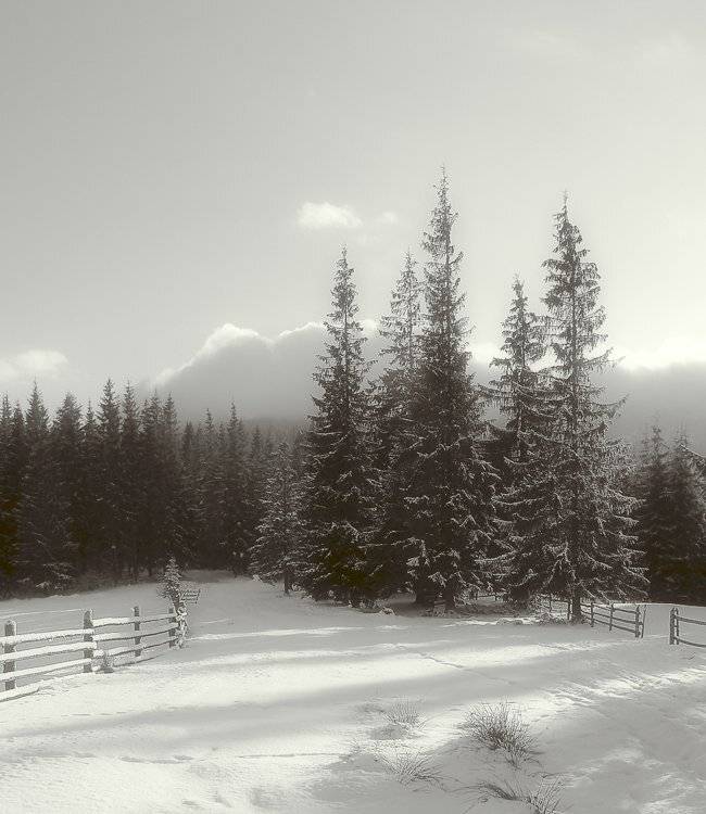 карпаты, природа, пейзаж, горы, панорама, Piligrim