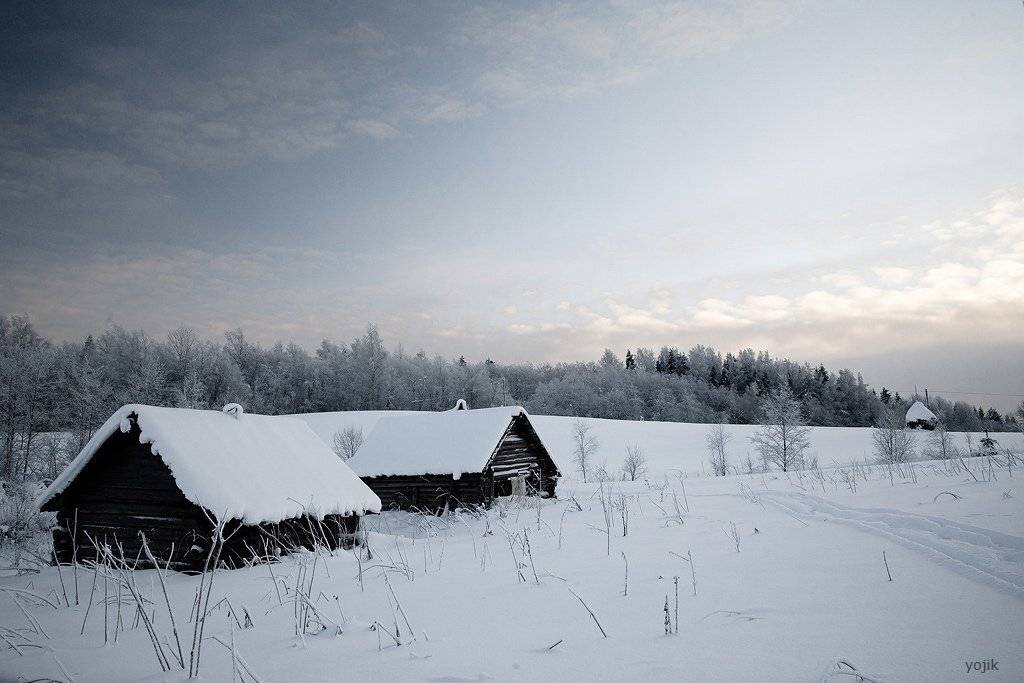 зимняя, сказка, Милый Ёжка