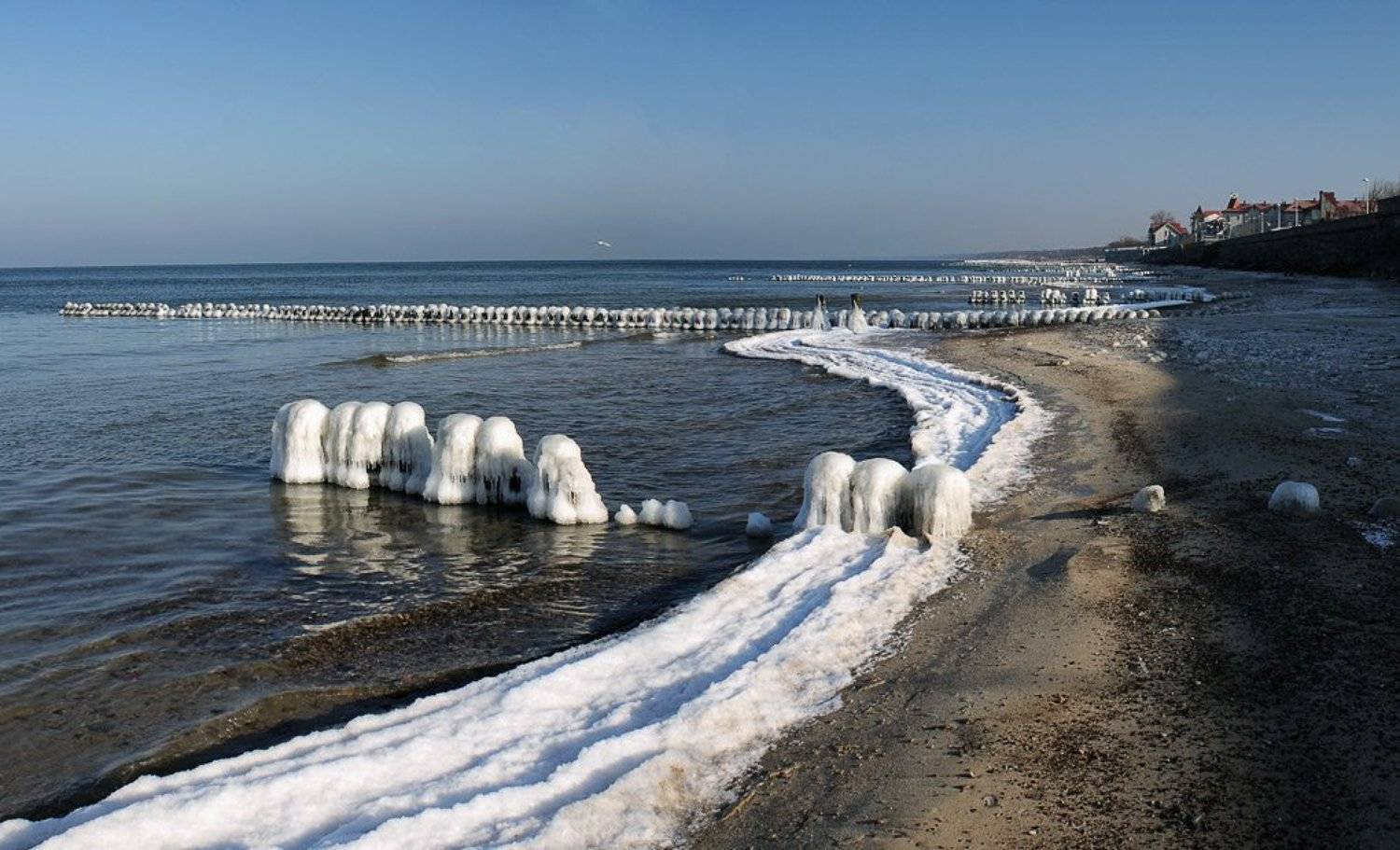 , Павел Дунюшкин