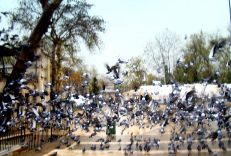 mozart, symphony no.25 in g minor, Slowhill