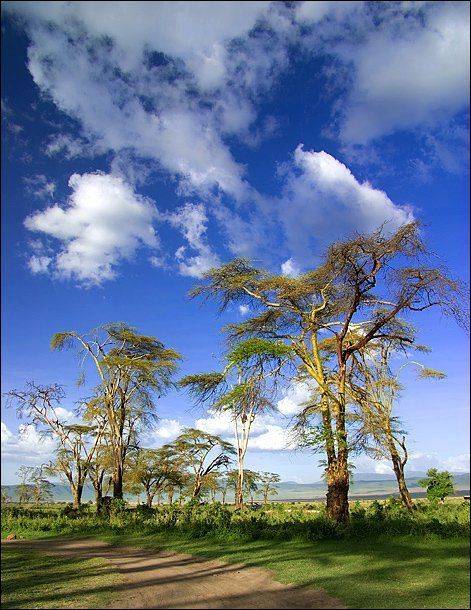 , Leonid Shtishevskiy