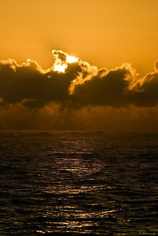 море, атлантика,расвет,доминикана,республика Рассвет над Атлантикой фото превью