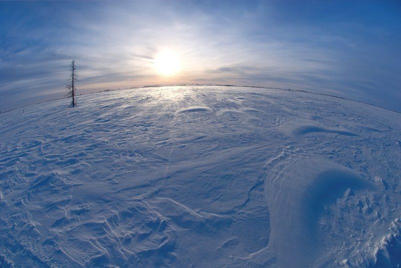 солнце, снег Ямал фото превью