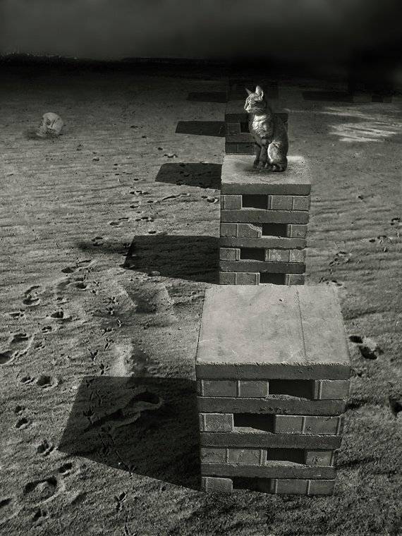 , Лямеборшай Валерия