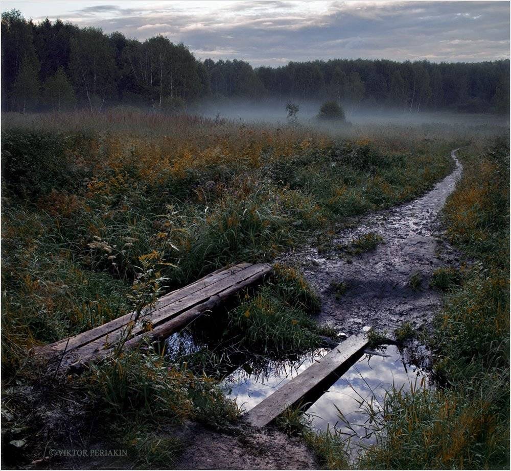 узкое, мостки, утро, туман, Виктор Перякин