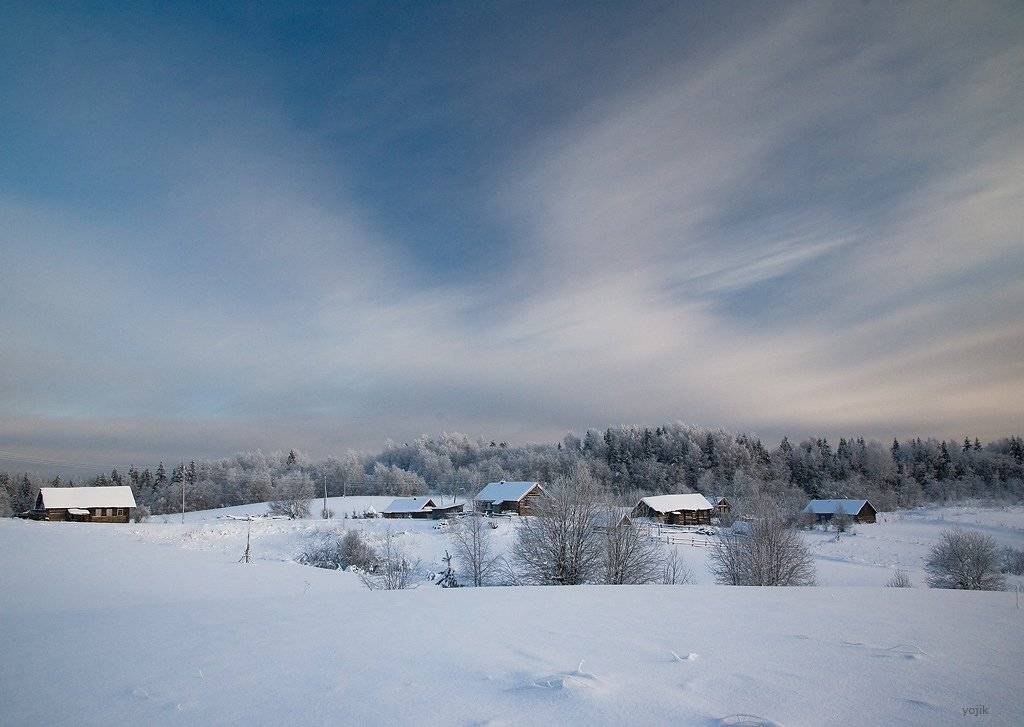 зимняя, сказка, Милый Ёжка