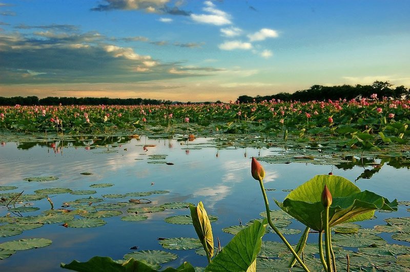 ...останься просто так...) фото превью