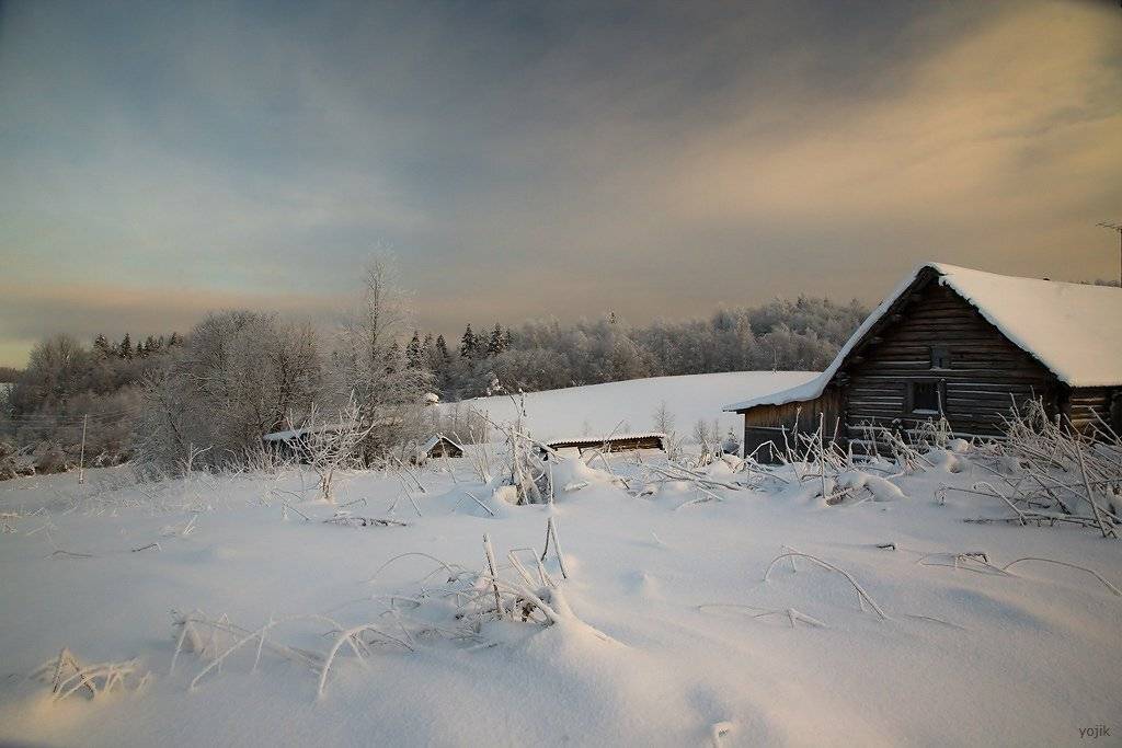 зимняя, сказка, Милый Ёжка